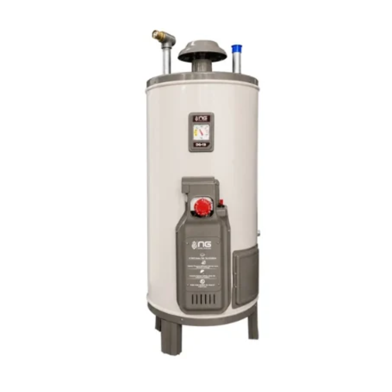 Nasgas DG-15 SUPER DLX 15 Gallon Gas Geyser
