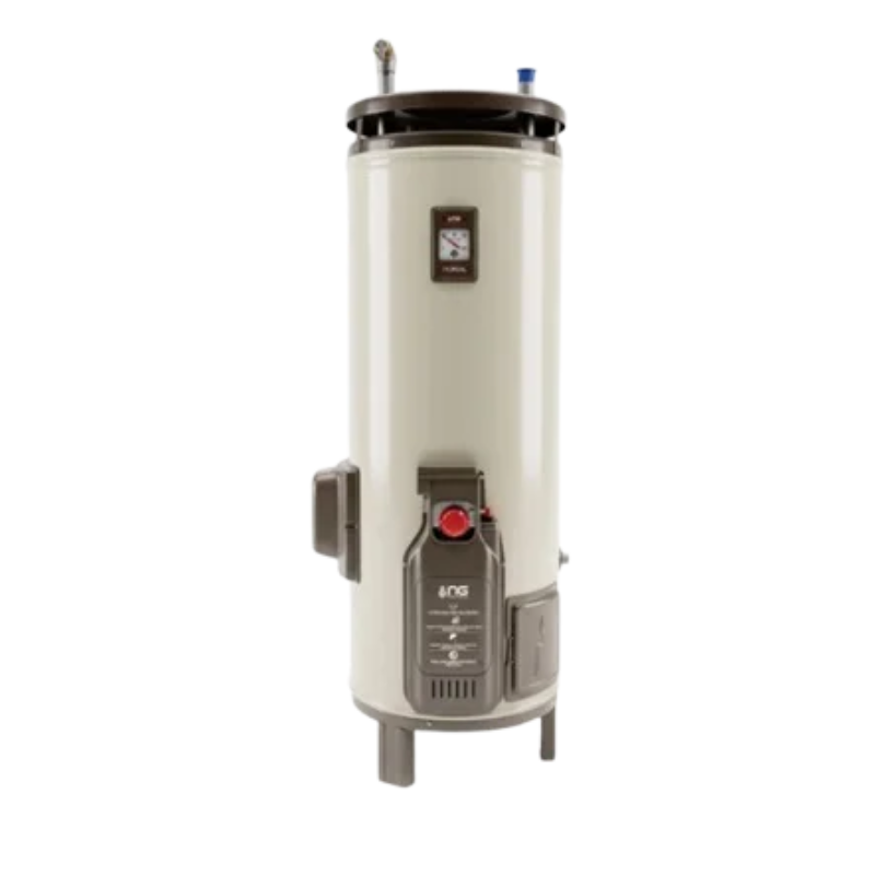 Nasgas DEG-2020 Super Deluxe Electric and Gas Geyser